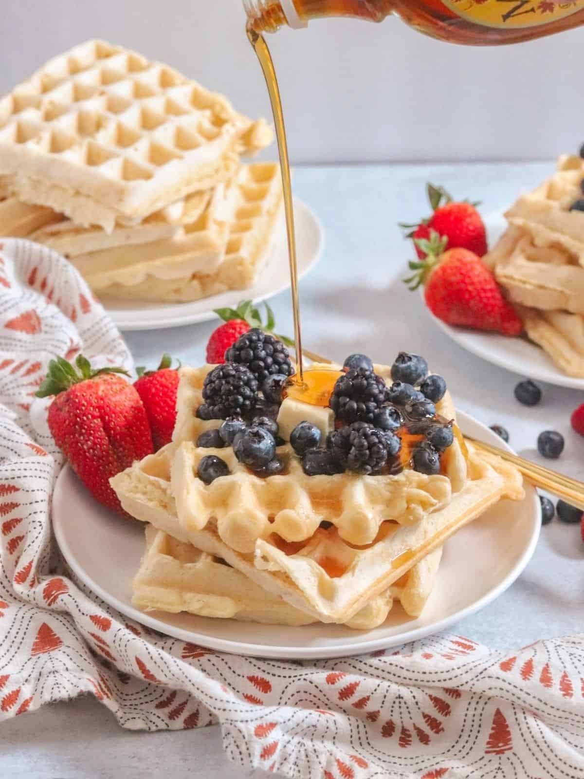 Easy Dairy Free Belgian Waffles - Dairy Free for Baby