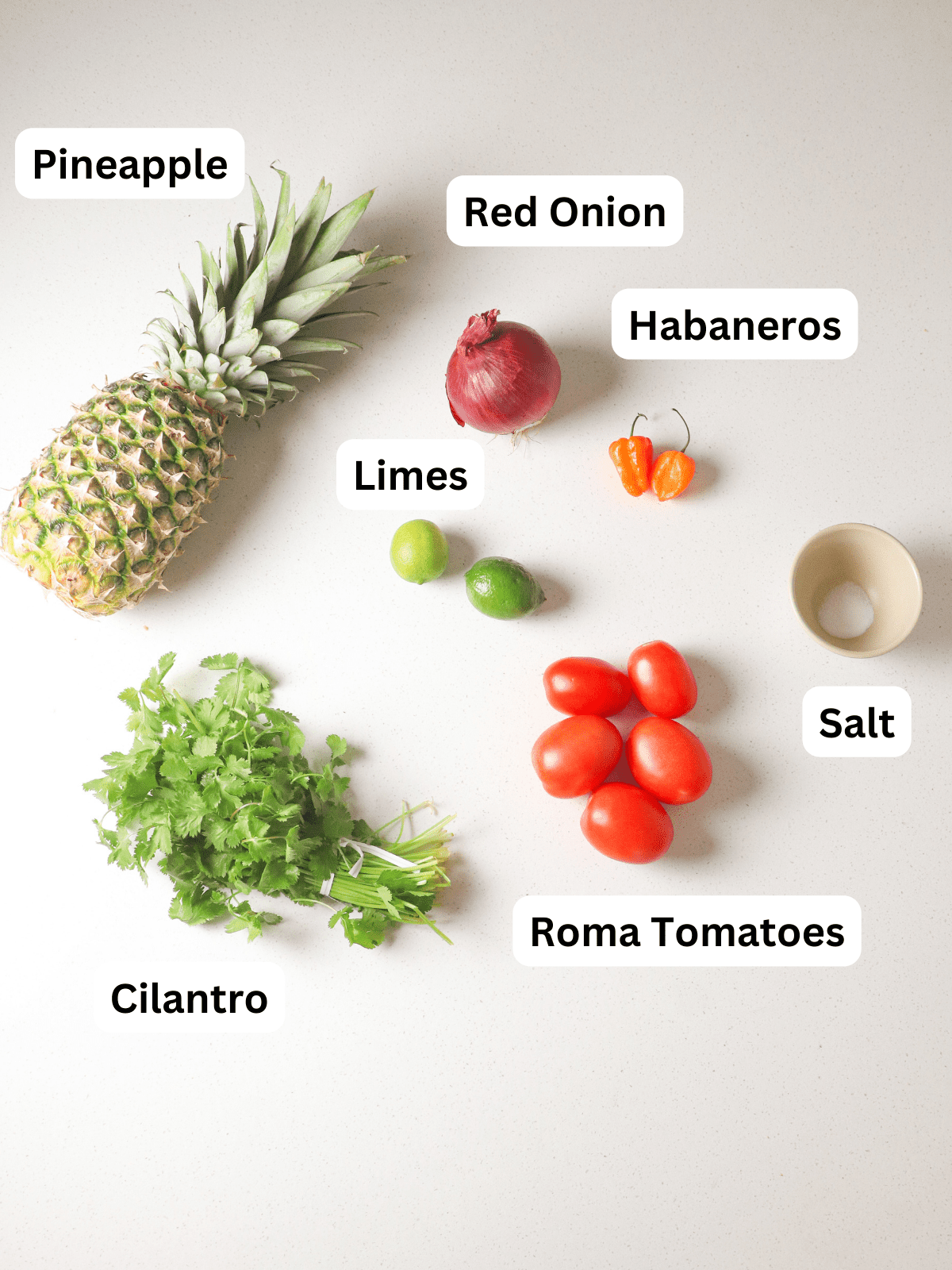 Ingredients on white countertop